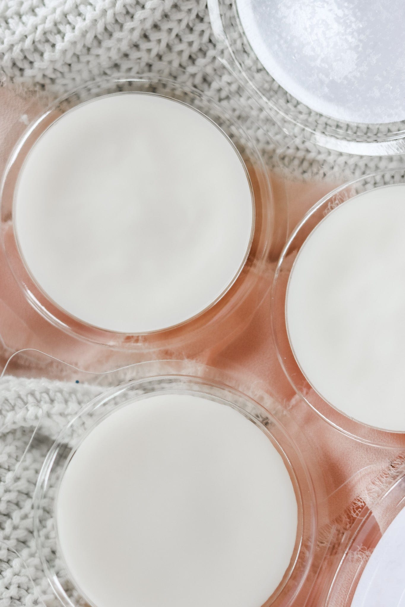 Seagrass & Beachwood Wax Melts 2.5 oz
