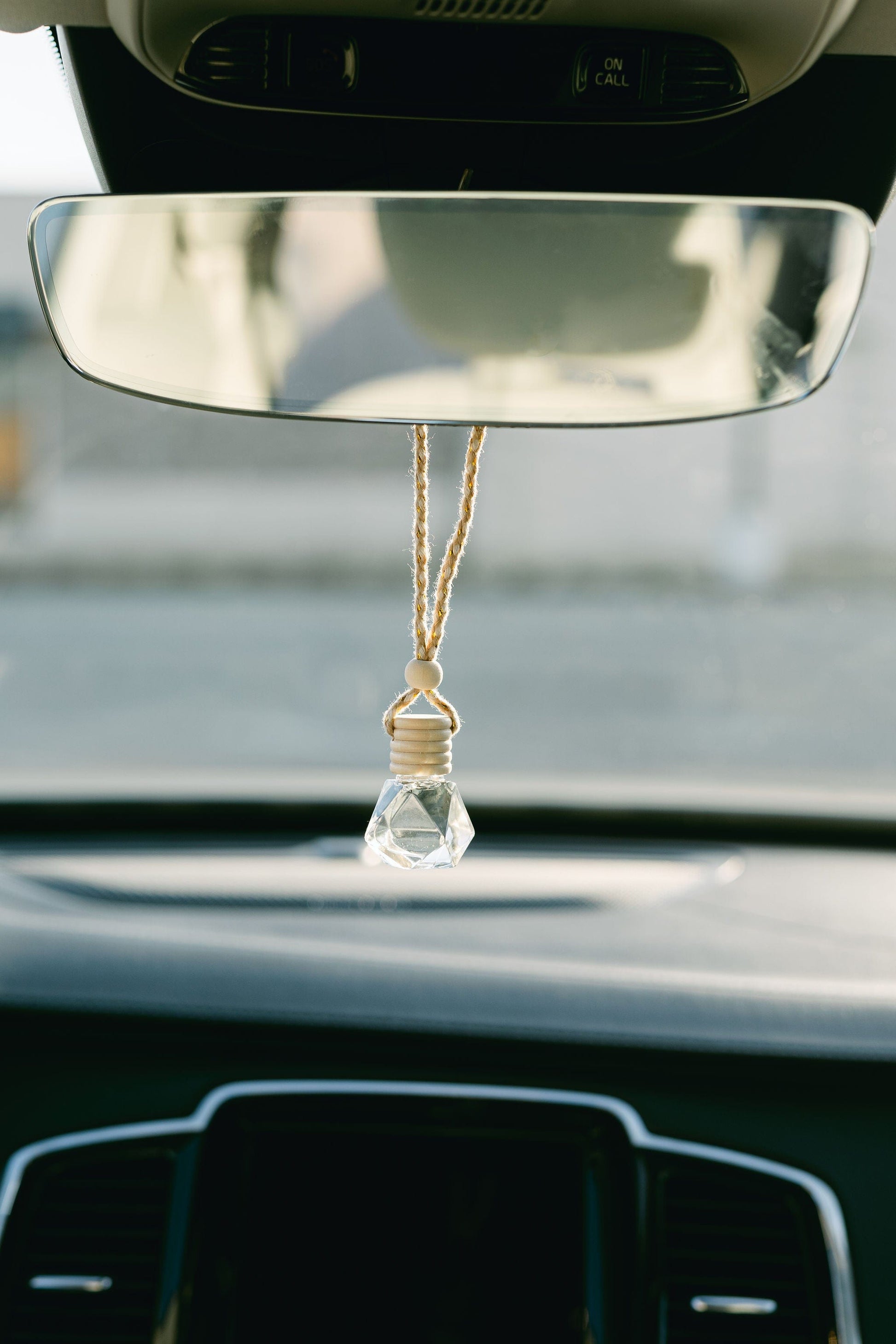 air plant rear view mirror Car Diffuser Spring 2025 – HoneydewCandleCo